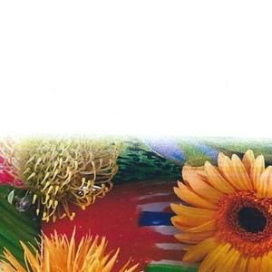 Meet your Posher, Frank